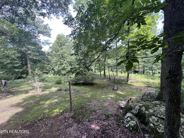 119 Wagon Hollow Rd, Middlesboro, KY 40965 - photo 35