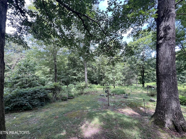 119 Wagon Hollow Rd, Middlesboro, KY 40965 - photo 36