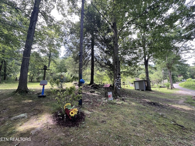 119 Wagon Hollow Rd, Middlesboro, KY 40965 - photo 38