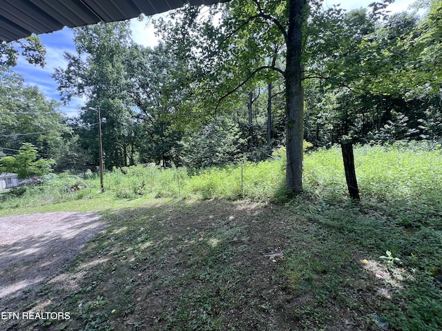 119 Wagon Hollow Rd, Middlesboro, KY 40965 - photo 42