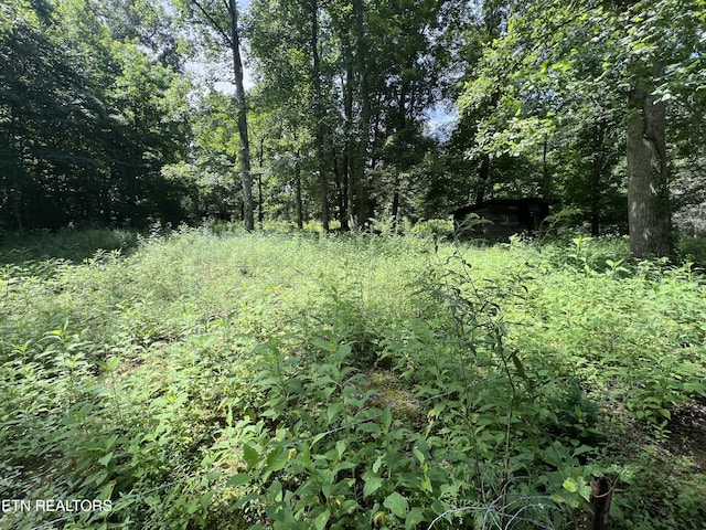 119 Wagon Hollow Rd, Middlesboro, KY 40965 - photo 43