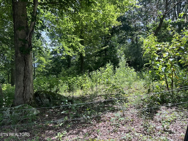 119 Wagon Hollow Rd, Middlesboro, KY 40965 - photo 46