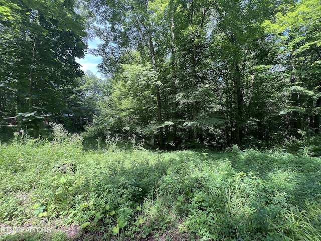 119 Wagon Hollow Rd, Middlesboro, KY 40965 - photo 47