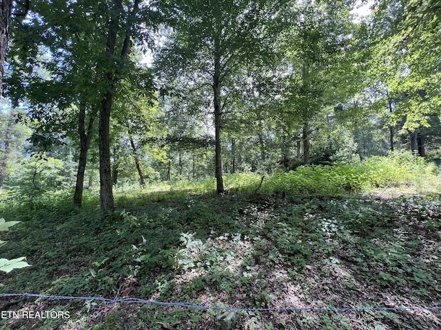 119 Wagon Hollow Rd, Middlesboro, KY 40965 - photo 48