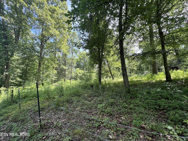119 Wagon Hollow Rd, Middlesboro, KY 40965 - photo 49