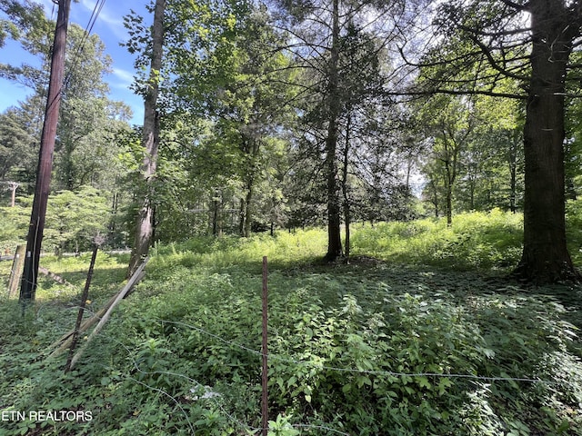 119 Wagon Hollow Rd, Middlesboro, KY 40965 - photo 50