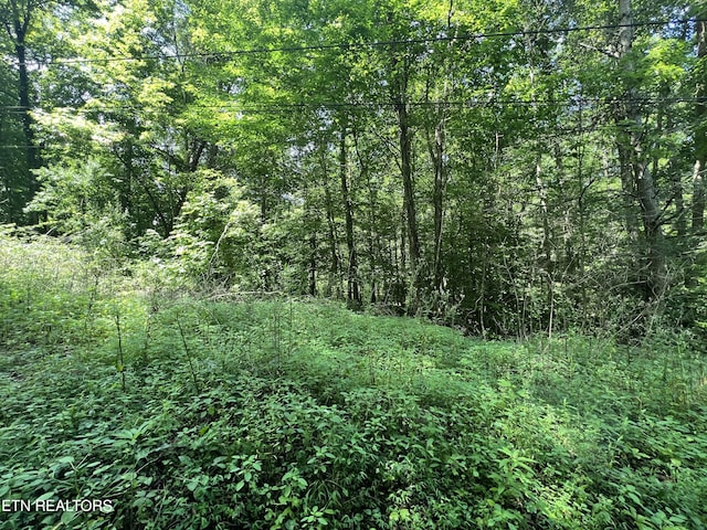 119 Wagon Hollow Rd, Middlesboro, KY 40965 - photo 51
