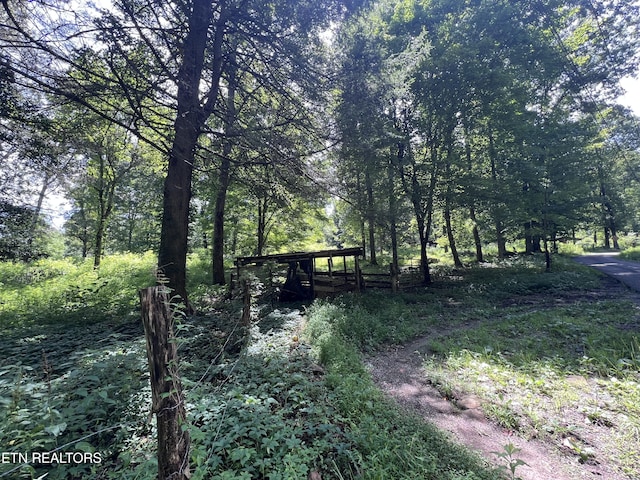 119 Wagon Hollow Rd, Middlesboro, KY 40965 - photo 52