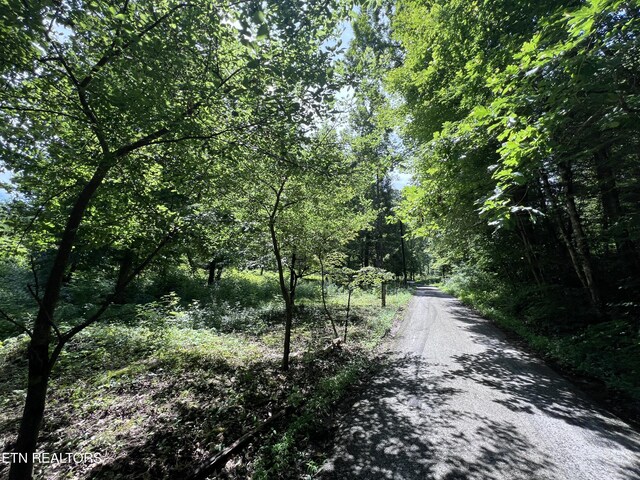 119 Wagon Hollow Rd, Middlesboro, KY 40965 - photo 54