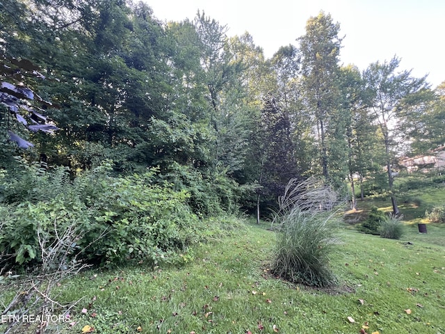 2011 Cedar Ln, Corbin, KY 40701 - view of undeveloped land