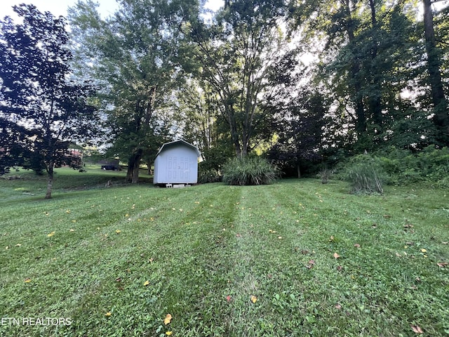 2011 Cedar Ln, Corbin, KY 40701 - view of green lawn with a storage unit