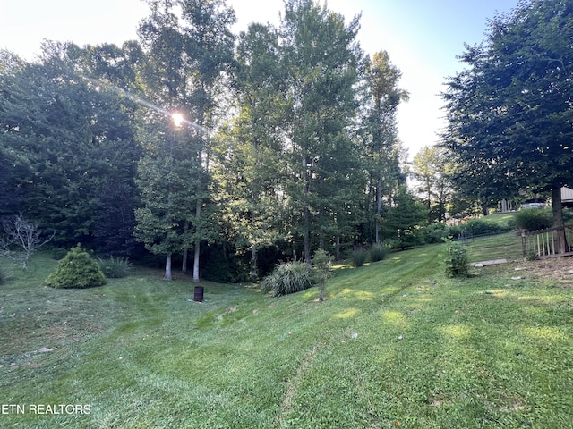2011 Cedar Ln, Corbin, KY 40701 - view of green lawn