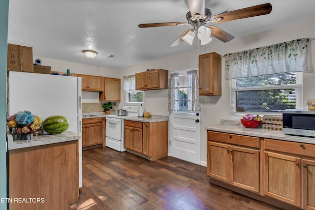 3720 Orangewood Rd, Knoxville, TN 37921 - photo 8