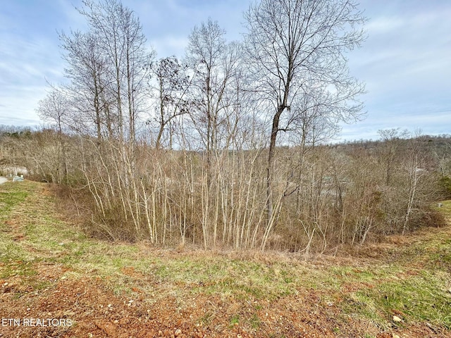 LOT207 Suncrest Cv, Lafollette, TN 37766