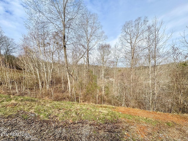 LOT207 Suncrest Cv, Lafollette, TN 37766