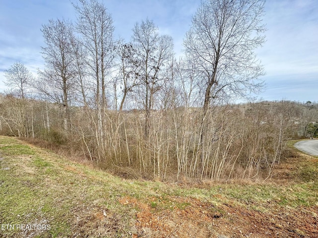 LOT207 Suncrest Cv, Lafollette, TN 37766