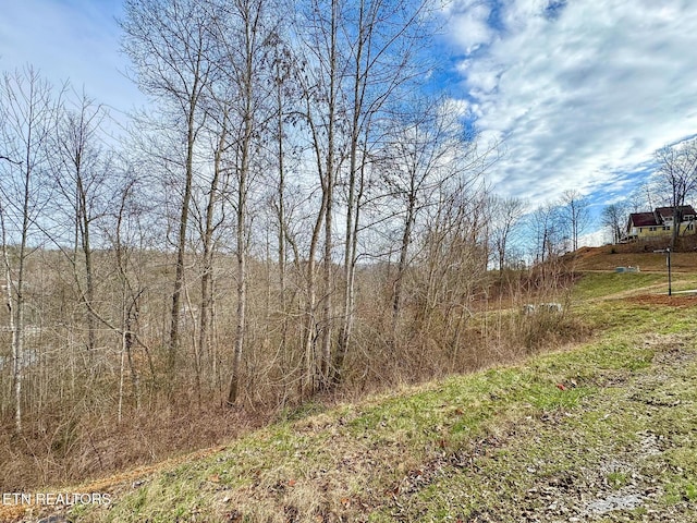 LOT207 Suncrest Cv, Lafollette, TN 37766