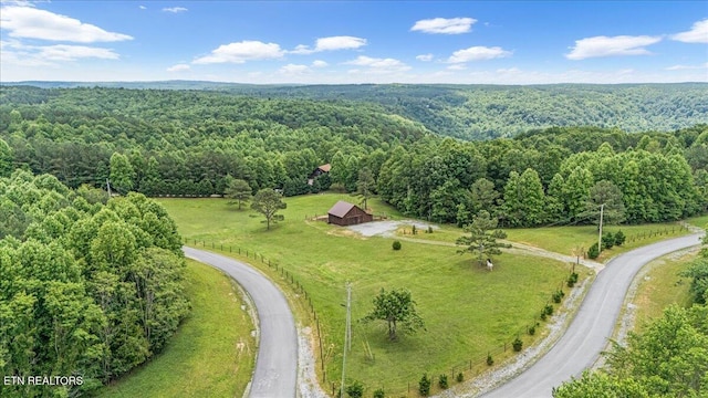 1085 Thunder Ridge Dr, South Pittsburg, TN 37380 - photo 5