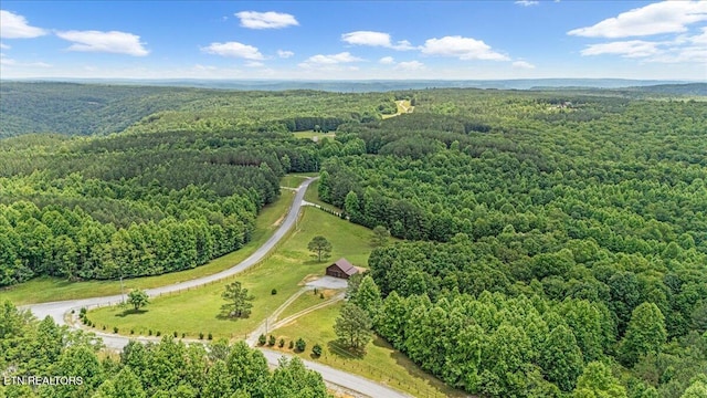 1085 Thunder Ridge Dr, South Pittsburg, TN 37380 - photo 6