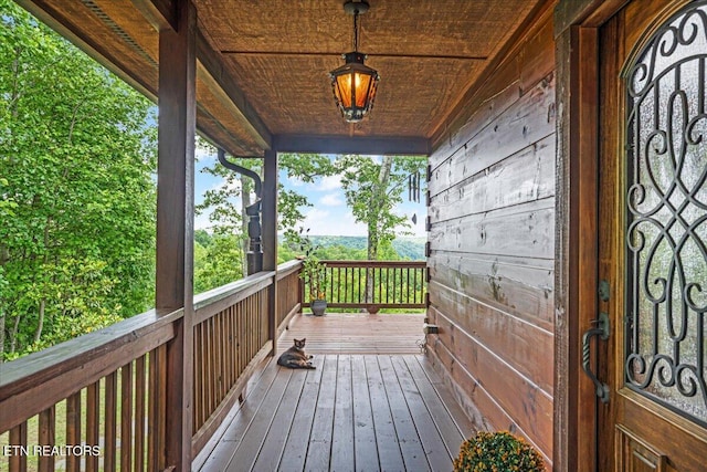1085 Thunder Ridge Dr, South Pittsburg, TN 37380 - photo 10