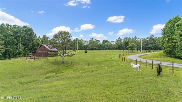 1085 Thunder Ridge Dr, South Pittsburg, TN 37380 - photo 50