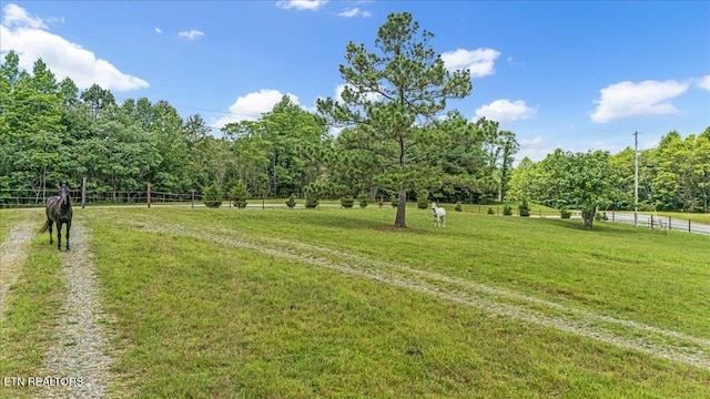 1085 Thunder Ridge Dr, South Pittsburg, TN 37380 - photo 53