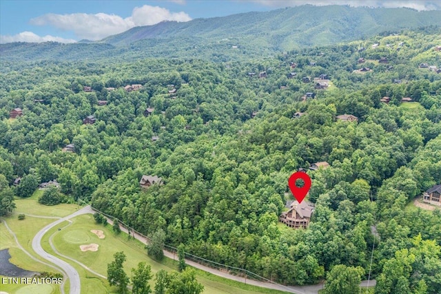 213 Matterhorn Dr, Gatlinburg, TN 37738 - photo 18