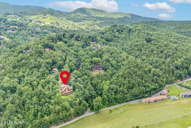 213 Matterhorn Dr, Gatlinburg, TN 37738 - photo 19