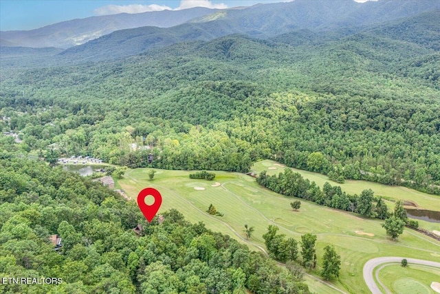 213 Matterhorn Dr, Gatlinburg, TN 37738 - photo 20