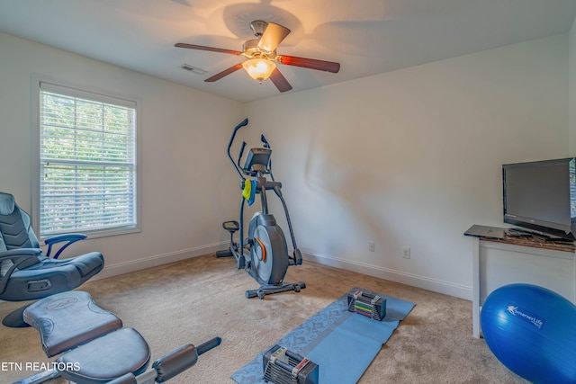6110 Evening Star Ln, Knoxville, TN 37918 - photo 36
