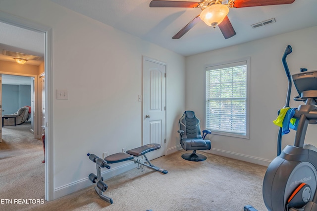 6110 Evening Star Ln, Knoxville, TN 37918 - photo 37