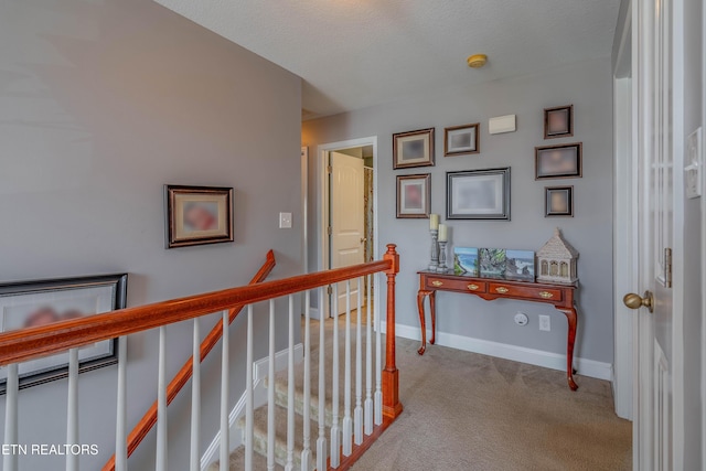 6110 Evening Star Ln, Knoxville, TN 37918 - photo 33