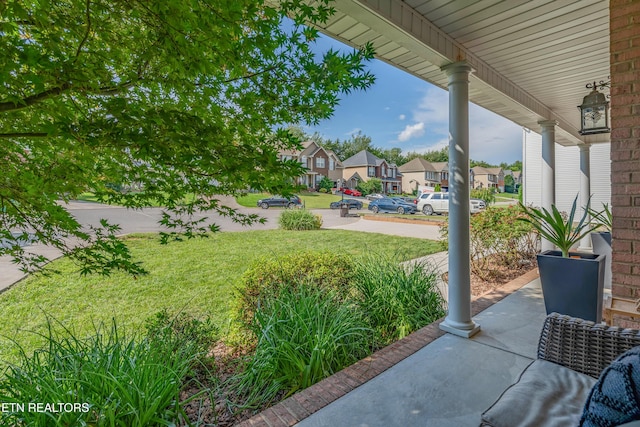 6110 Evening Star Ln, Knoxville, TN 37918 - photo 6