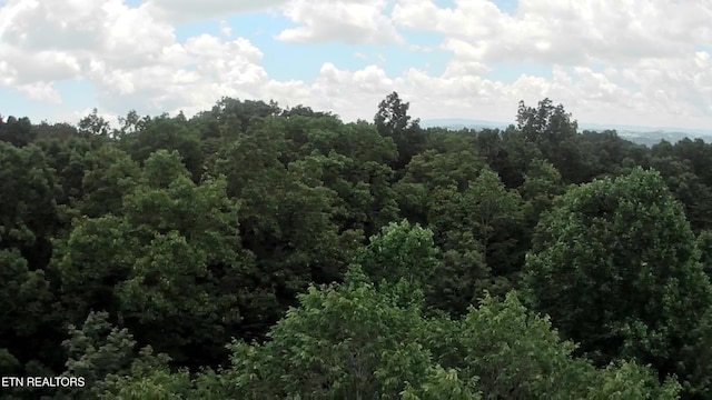 Prospect Rd, Sneedville, TN 37869 - photo 7