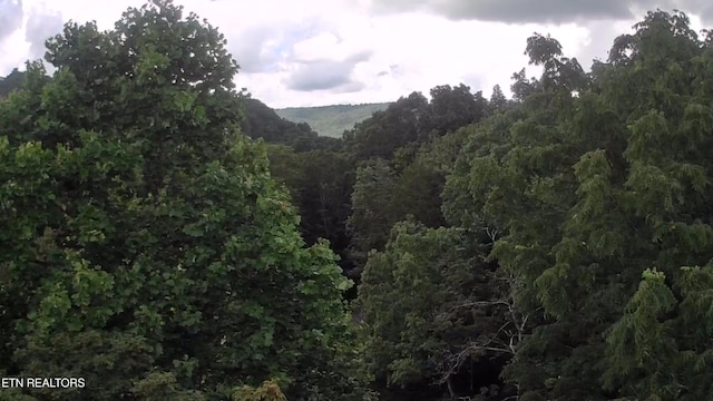 Prospect Rd, Sneedville, TN 37869 - photo 8
