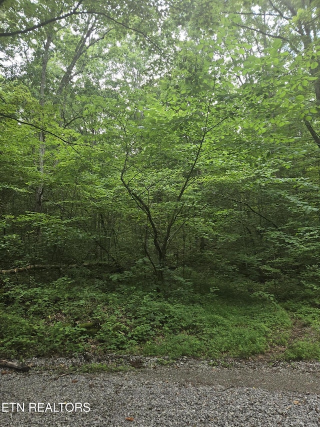 Prospect Rd, Sneedville, TN 37869 - photo 1