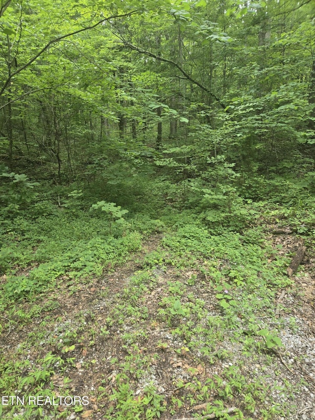 Prospect Rd, Sneedville, TN 37869 - photo 2