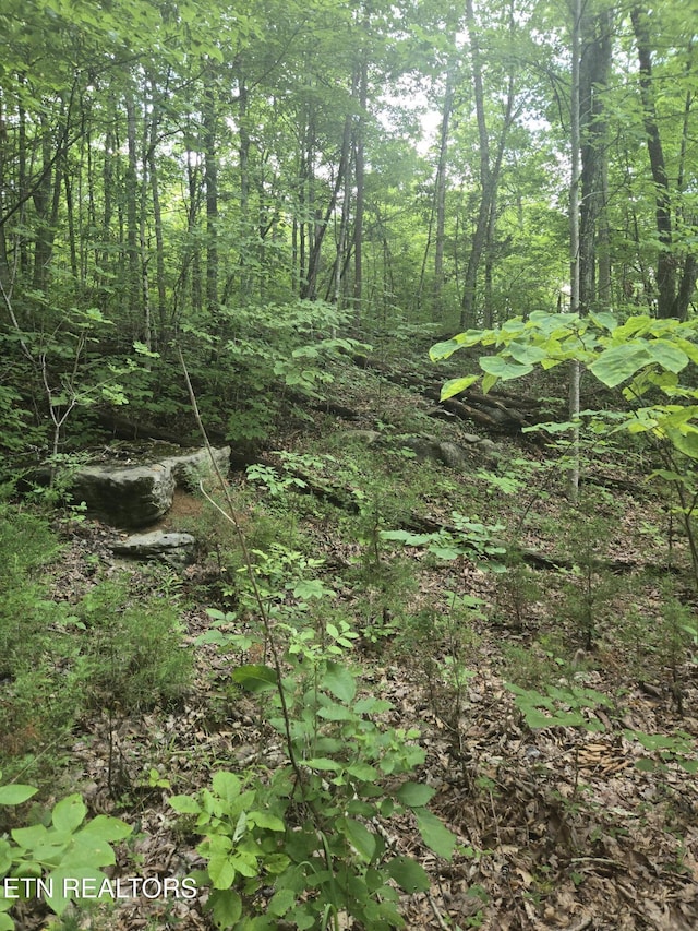 Prospect Rd, Sneedville, TN 37869 - photo 4