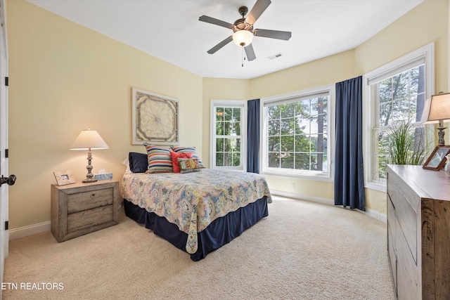 307 Inagehi Ln, Loudon, TN 37774 - photo 32