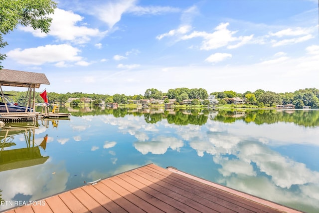 307 Inagehi Ln, Loudon, TN 37774 - photo 44