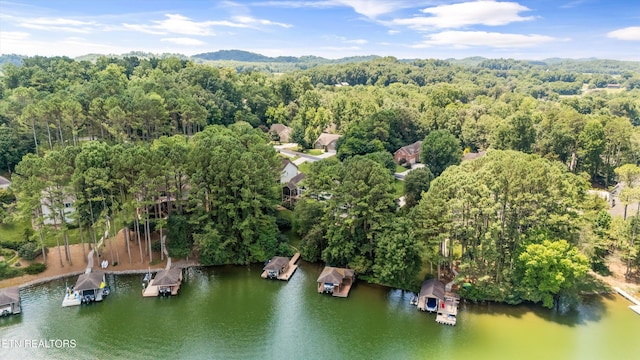 307 Inagehi Ln, Loudon, TN 37774 - photo 46