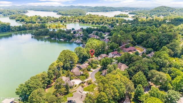307 Inagehi Ln, Loudon, TN 37774 - photo 48