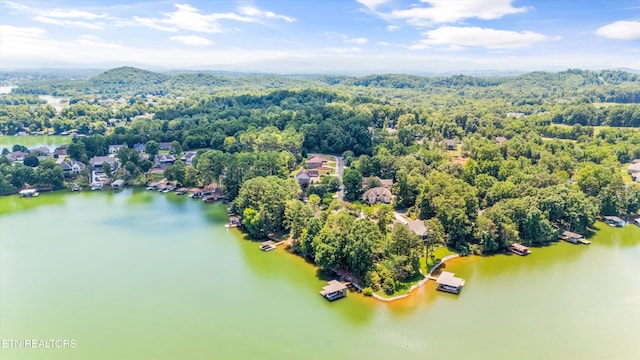 307 Inagehi Ln, Loudon, TN 37774 - photo 49