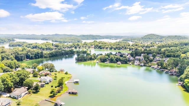 307 Inagehi Ln, Loudon, TN 37774 - photo 50