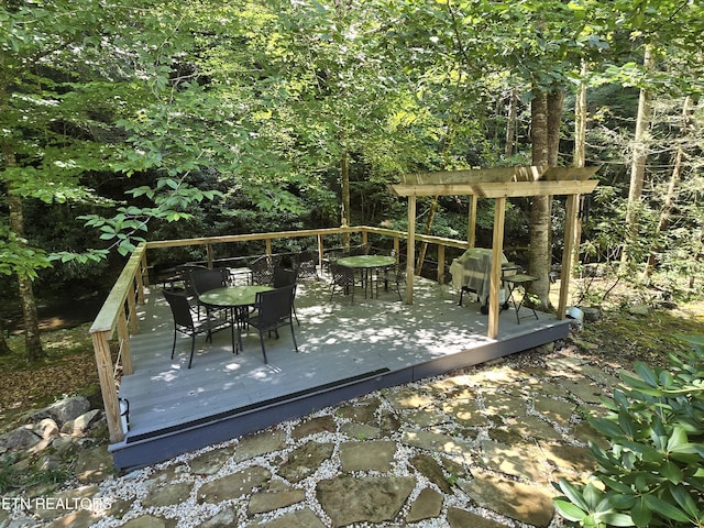 1316 E Millers Cove Rd, Walland, TN 37886 - photo 25