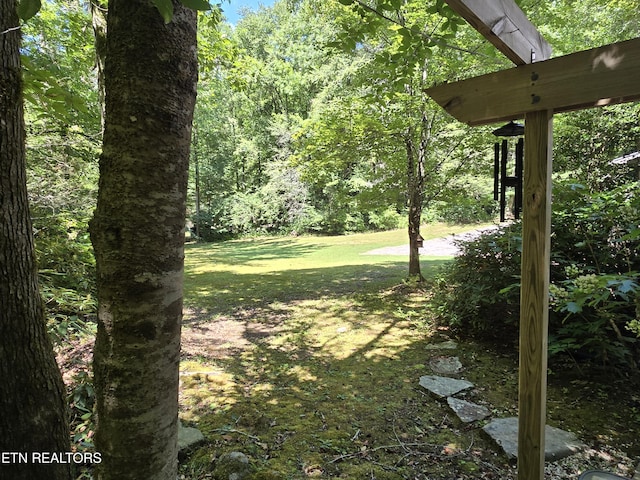 1316 E Millers Cove Rd, Walland, TN 37886 - photo 28