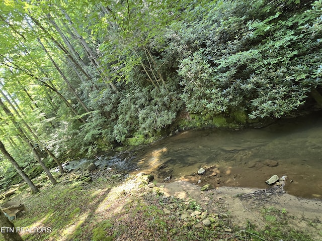 1316 E Millers Cove Rd, Walland, TN 37886 - photo 29