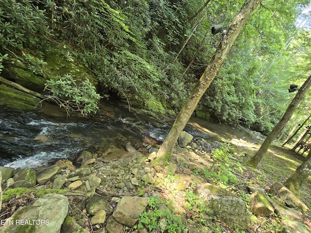 1316 E Millers Cove Rd, Walland, TN 37886 - photo 30