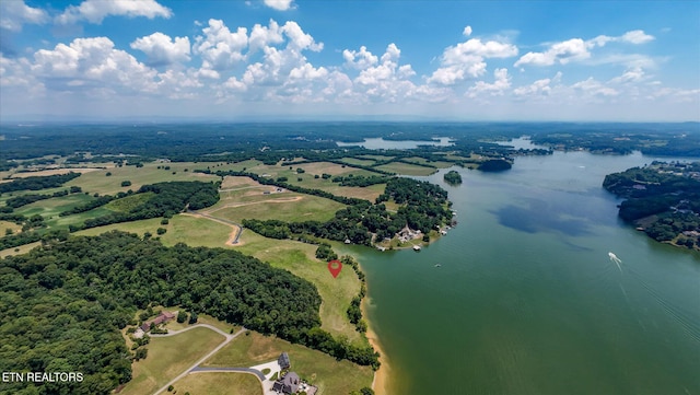 3841 Gravelly Hills Rd, Louisville, TN 37777 - photo 4