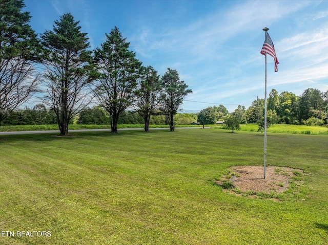 321 County Road 570, Englewood, TN 37329 - photo 38